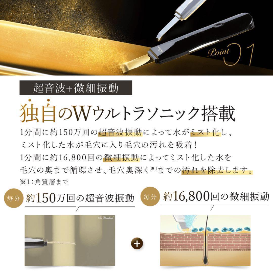【新品】アーリーバード 　複合美顔器 Rocklean Premium