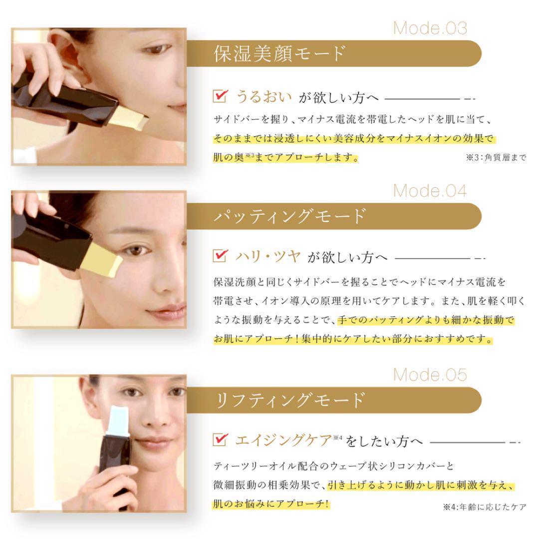 【新品】アーリーバード 　複合美顔器 Rocklean Premium