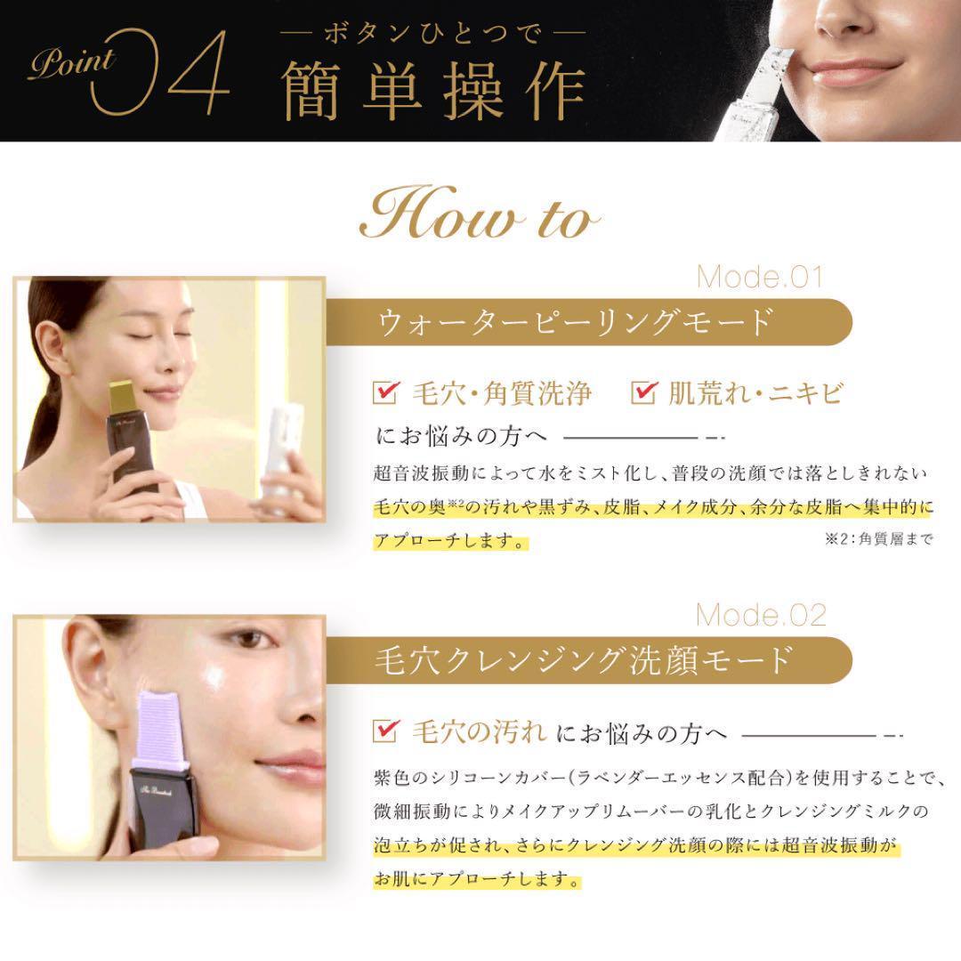 【新品】アーリーバード 　複合美顔器 Rocklean Premium