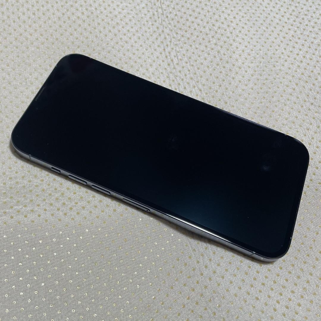 iPhone 13 Pro Max 6.7インチ 256GB SIMフリー
