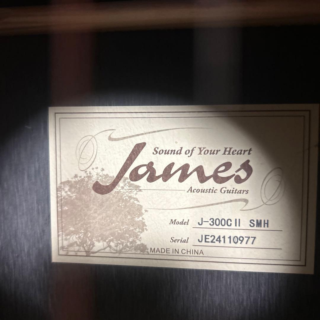 ギター James J-300C II