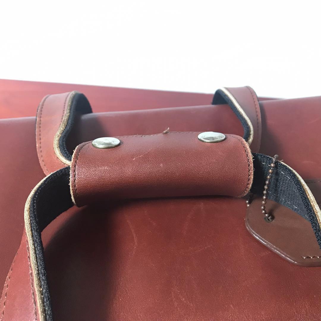 ラニオンブルーストランペットダブルソフトケース