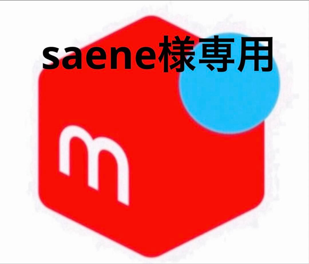 その他 saene