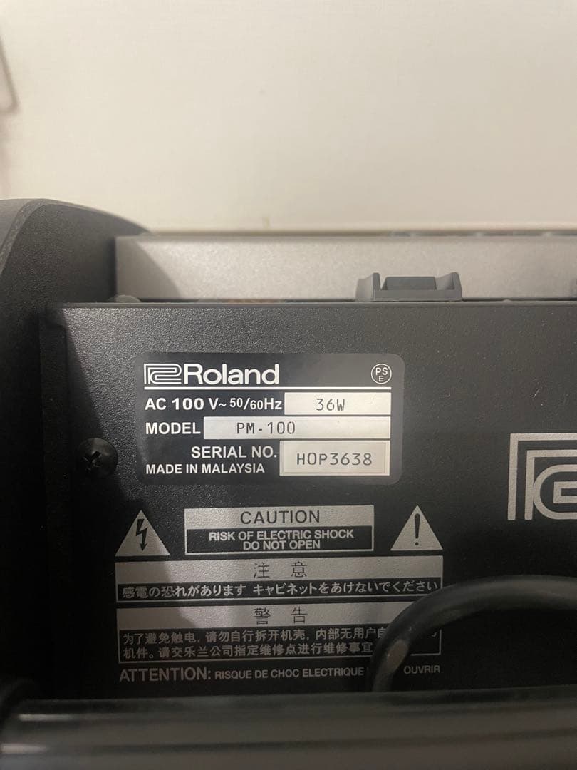 アンプ Roland PM-100
