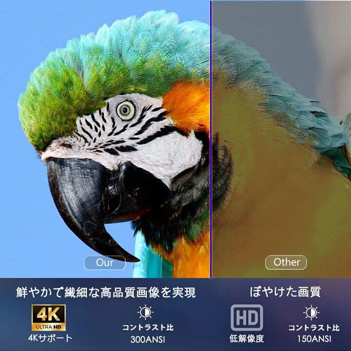 ETOE STARFISH BEDROOM PROJECTOR [美品]