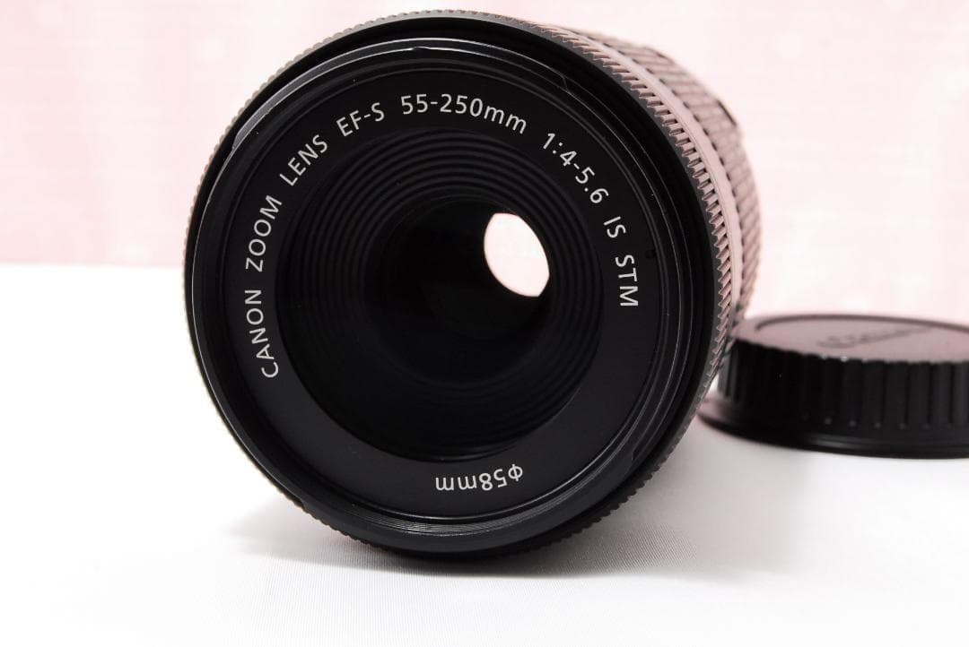 〓望遠レンズ〓キヤノン EF-S 55-250mm F4-5.6 IS STM