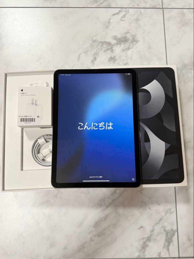 iPad Air (第5世代) 256GB Wi-Fi + Cellula