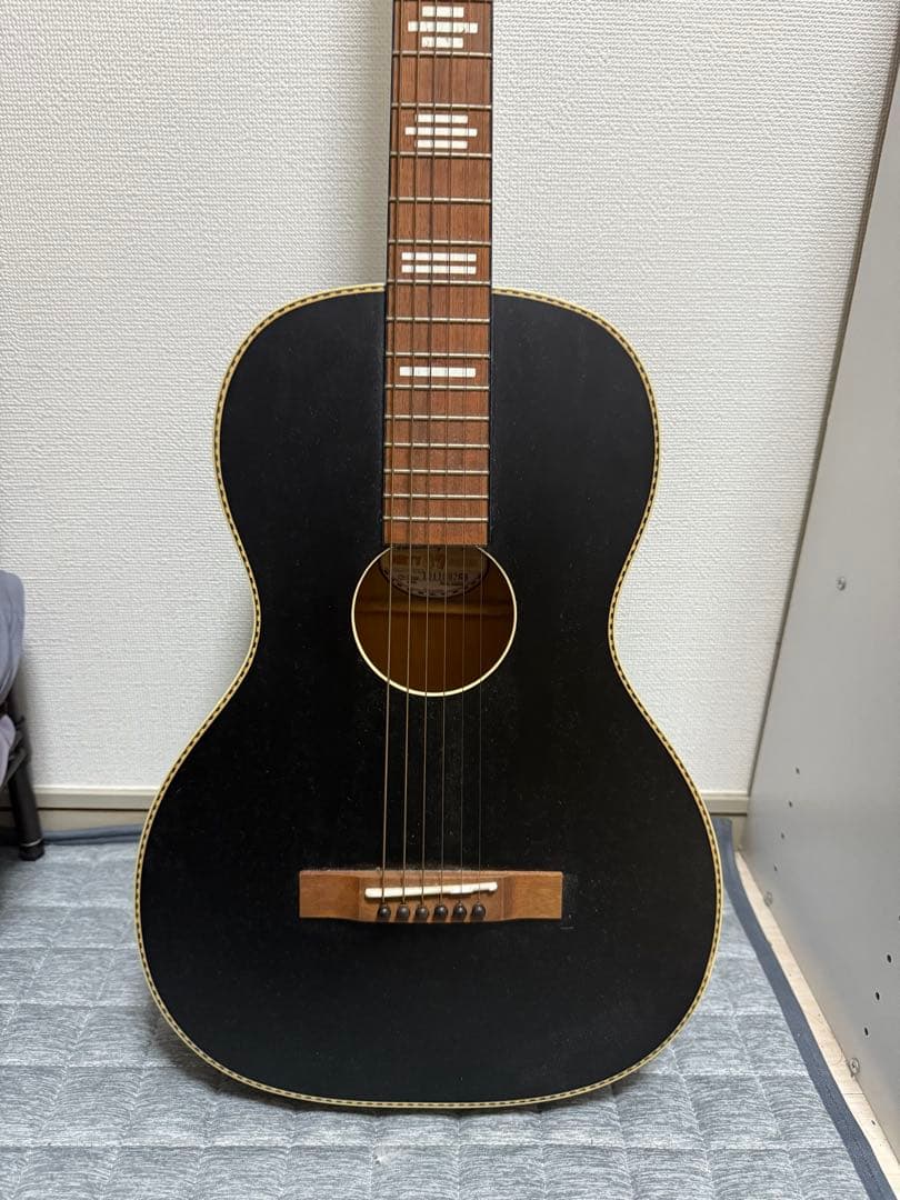 Recording King アコースティックギター ブラック