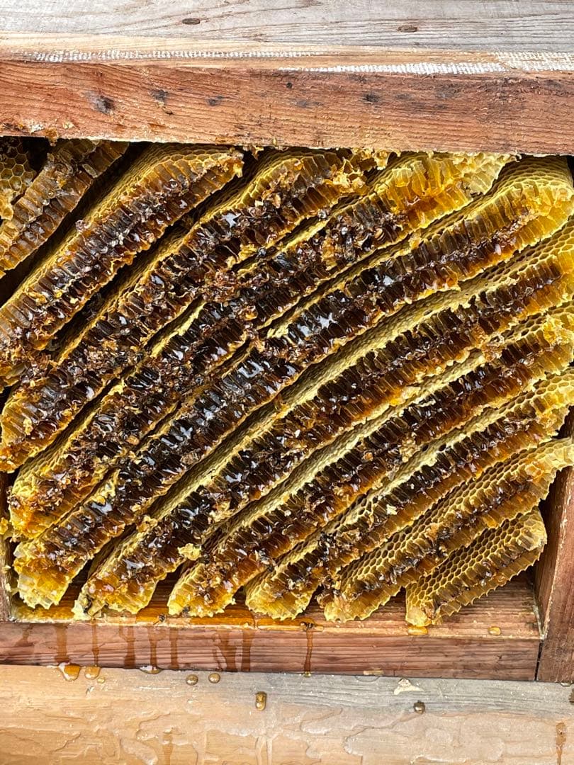 日本蜜蜂重箱式巣箱の継箱三箱！ハニーズハウス用！超訳あり特価！ニセット！送料無料