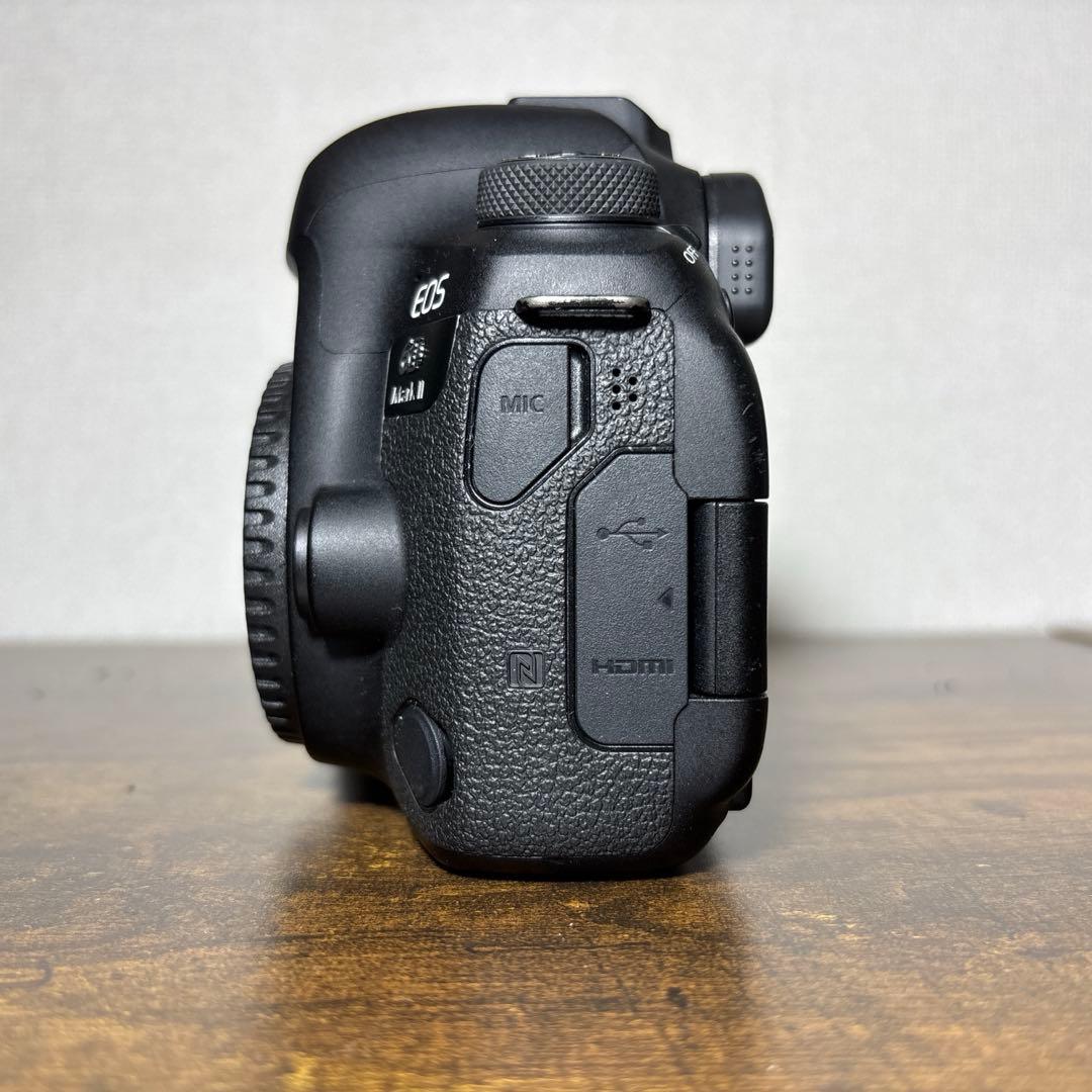 EOS 6D Mark II ボディ 外箱 バッテリー付き