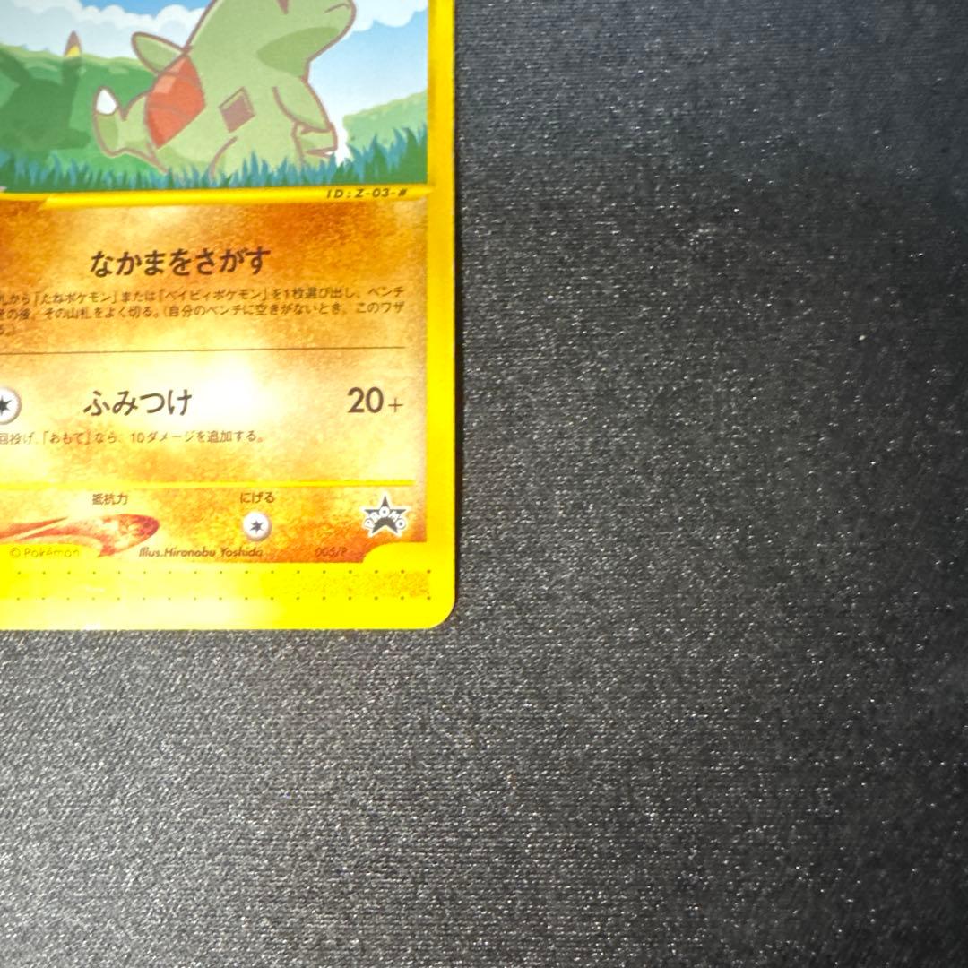 ピカチュウ、ヨーギラス　ANAプロモ