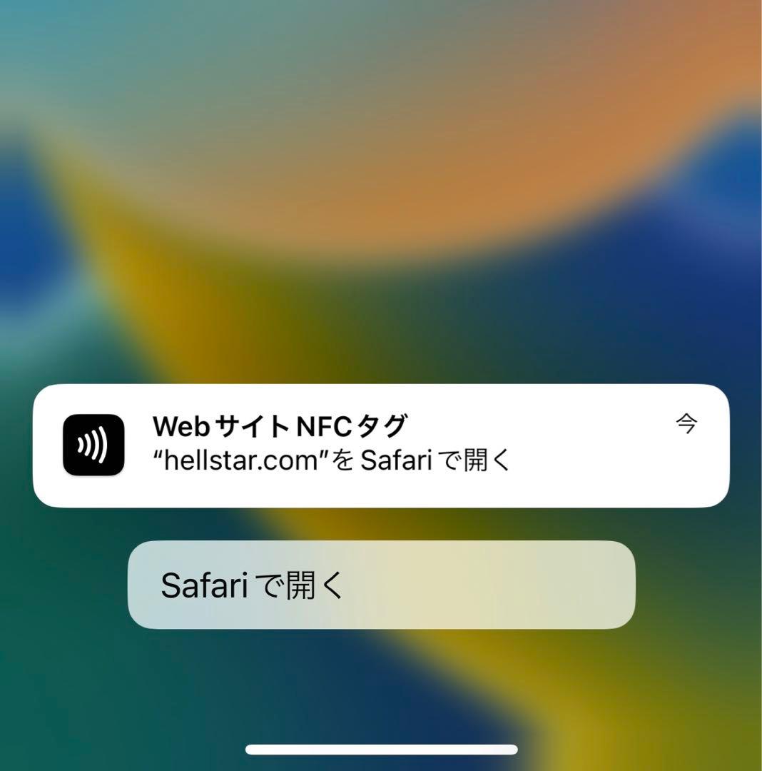 Hellstar blue FLAME shorts ヘルスター ハーフパンツ