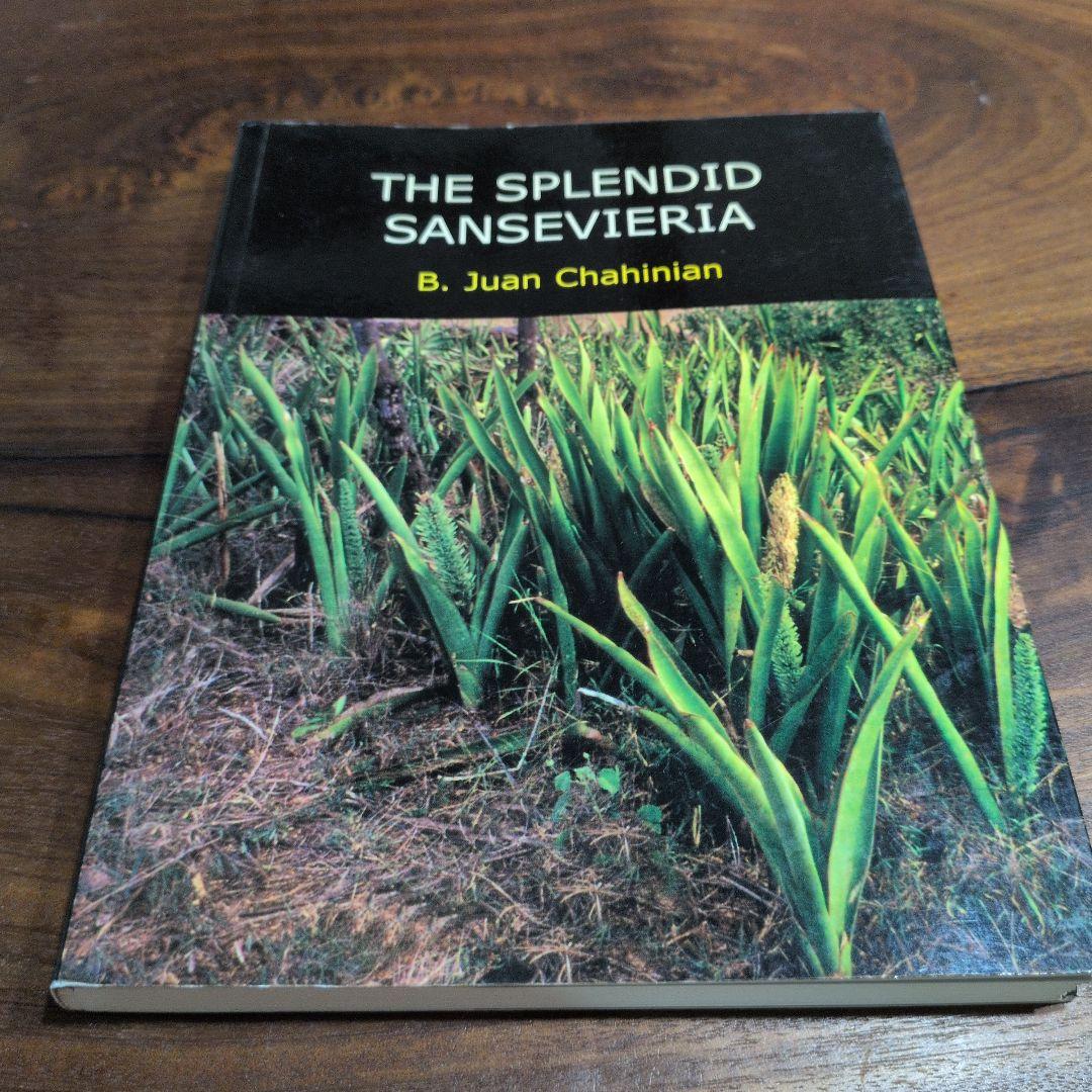 洋書 the splendid sansevieria