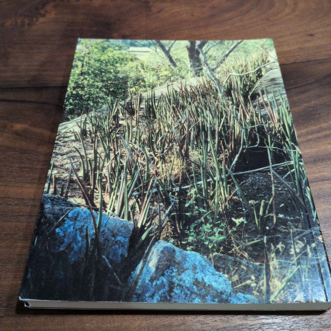 洋書 the splendid sansevieria