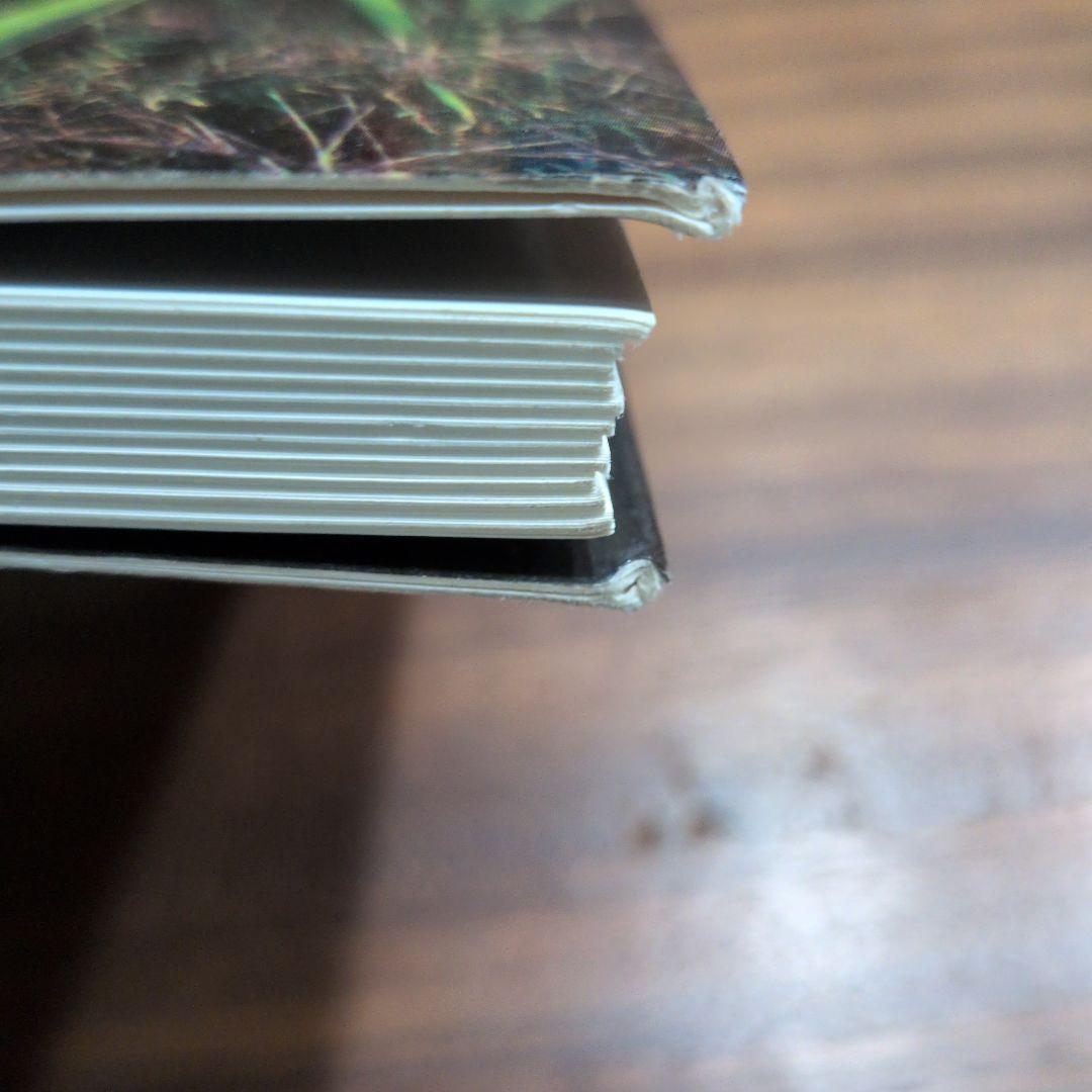 洋書 the splendid sansevieria