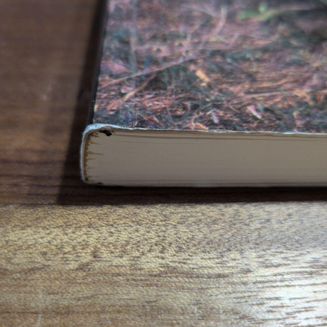 洋書 the splendid sansevieria