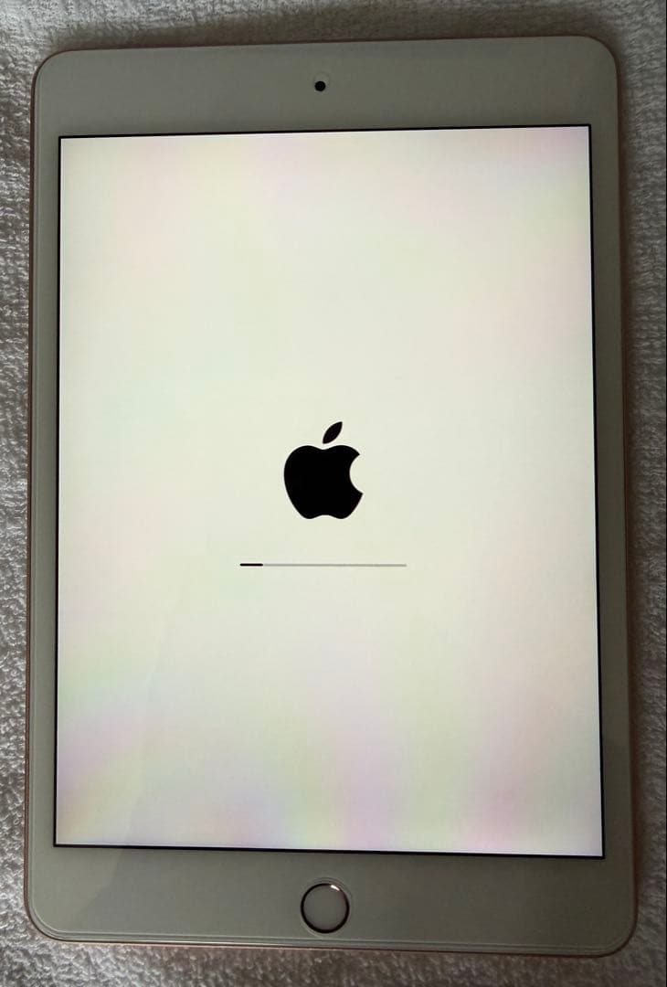 iPad mini 7.9インチ第5世代 Wi-Fi+Cellular 64GB