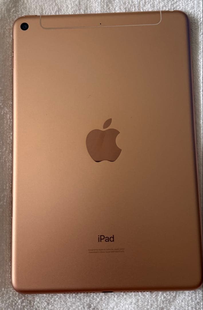 iPad mini 7.9インチ第5世代 Wi-Fi+Cellular 64GB