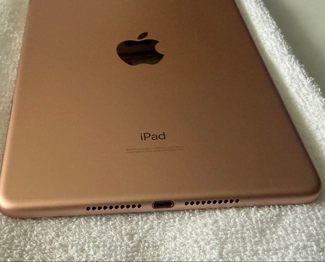 iPad mini 7.9インチ第5世代 Wi-Fi+Cellular 64GB