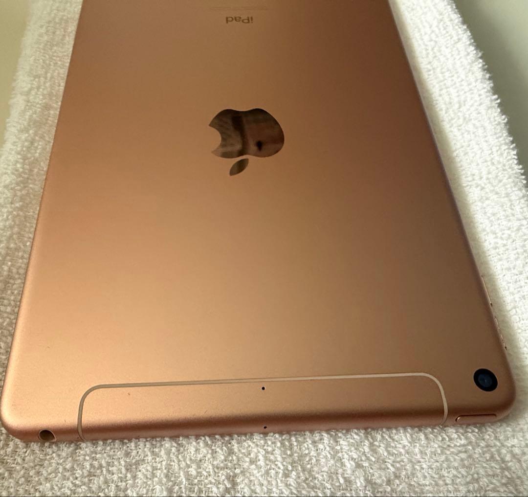 iPad mini 7.9インチ第5世代 Wi-Fi+Cellular 64GB