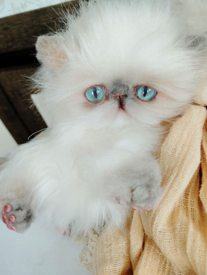 ヒマラヤン♡子猫のミミちゃん♡アートドール♡ぬいぐるみ♡