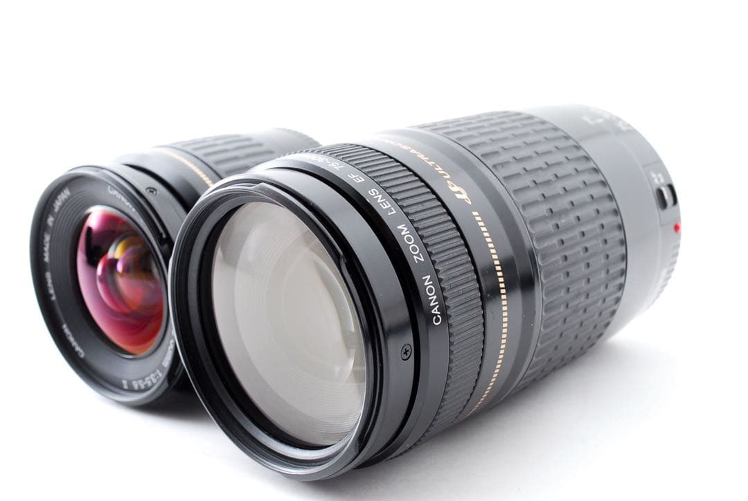 デジタル一眼レフカメラCanon EOS 80D標準&望遠ダブルレンズセット