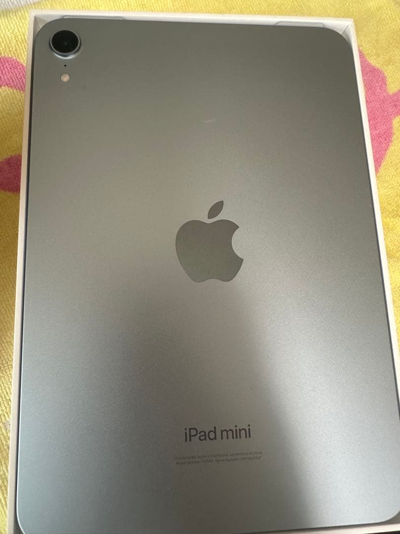 Apple iPad mini7 (a17pro)128GB美品