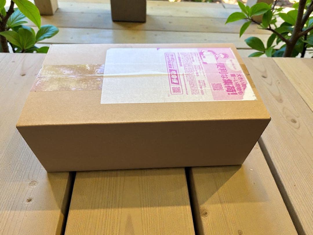 ポケモンカードゲームポケモンセンタースペシャルボックス ヒロシマ1箱完全未開封