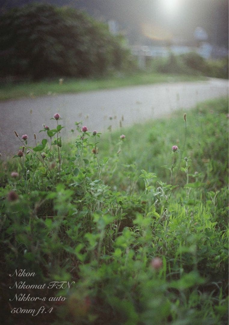 Nikon FTN◆nikkor f1.4★完動品＊美品＊初期保証★作例多数