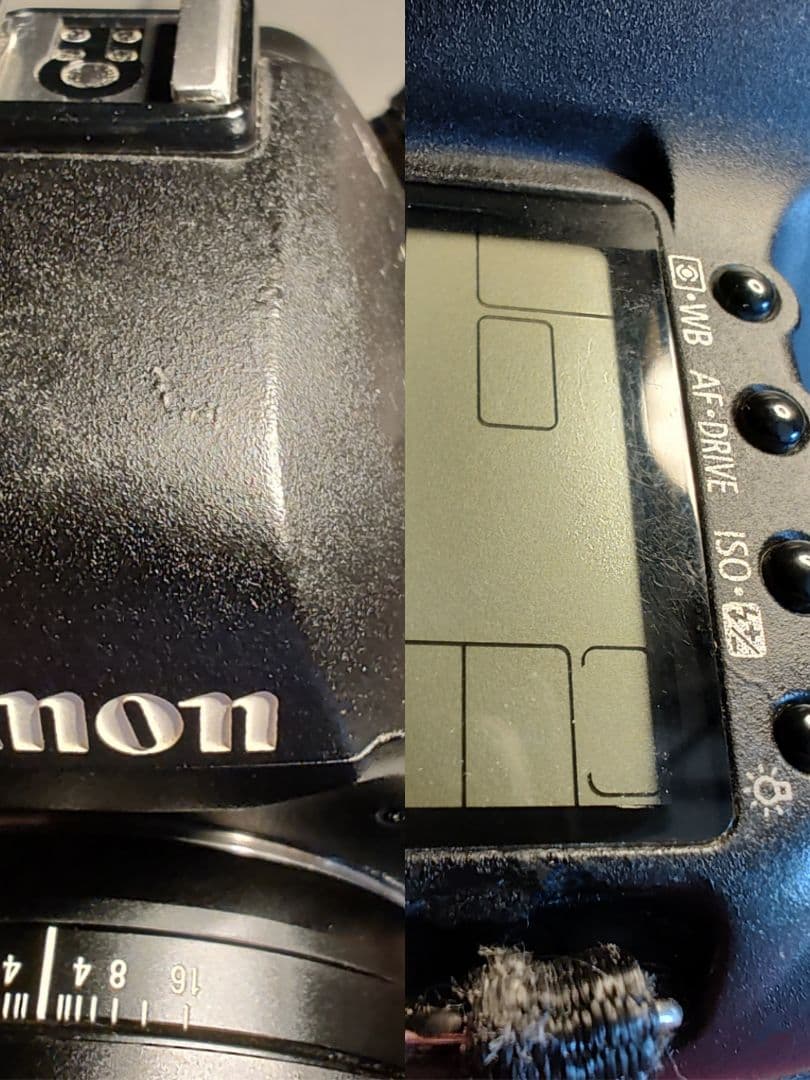 Canon 5D Mark II + Zeiss 50mm ZE 動作品