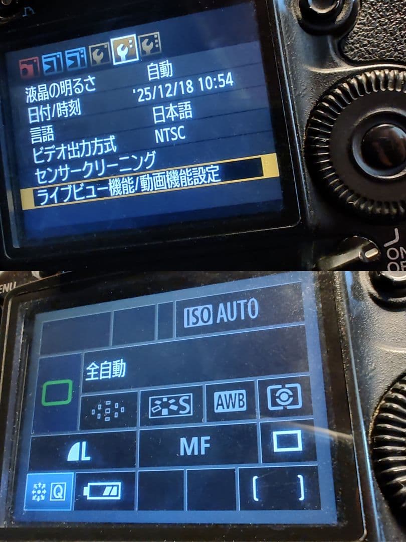 Canon 5D Mark II + Zeiss 50mm ZE 動作品