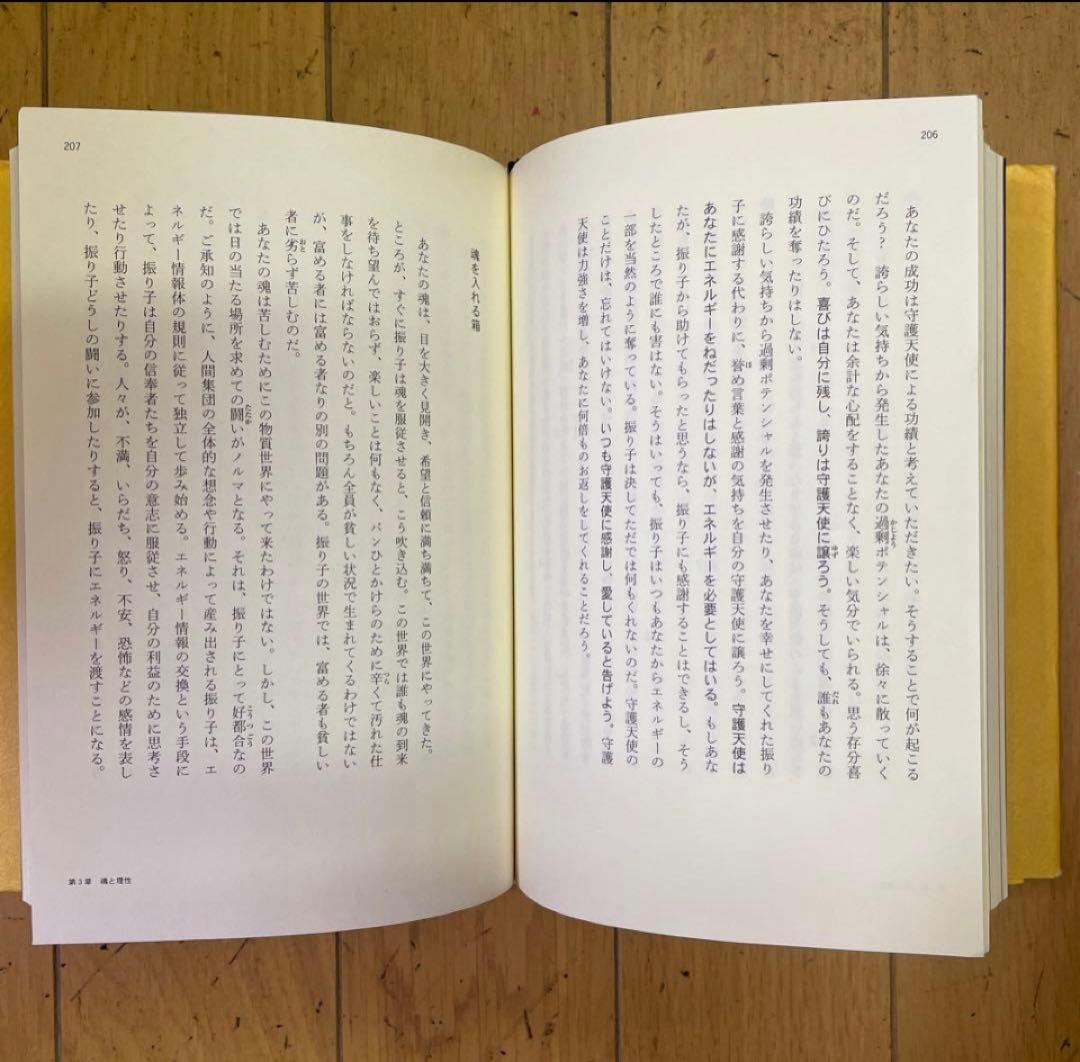 ❣️トランサーフィン 2 ‼️ヴァジム・ゼランド❣️