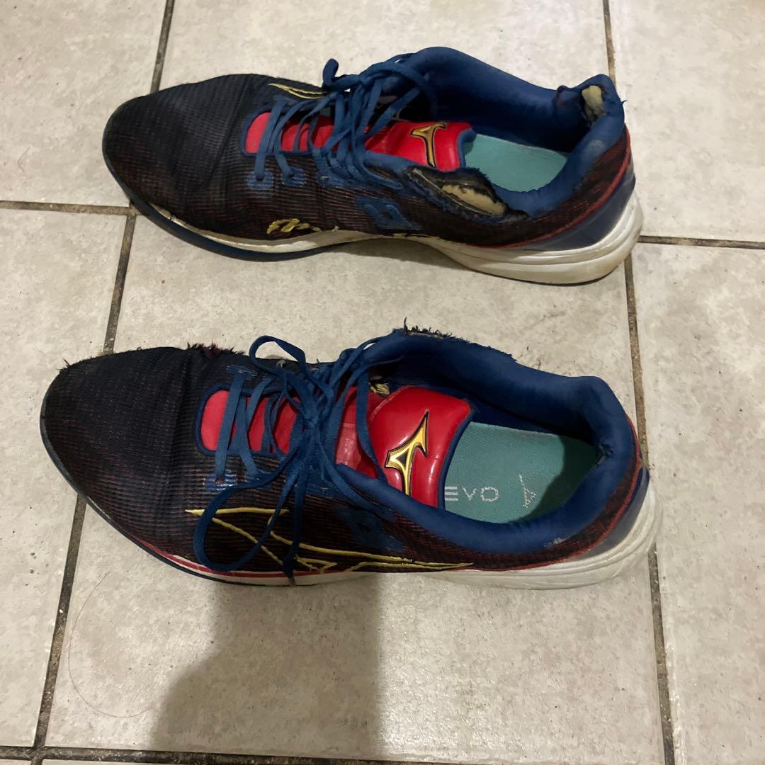 ミズプロ　 シューズ 29センチ　2足セット