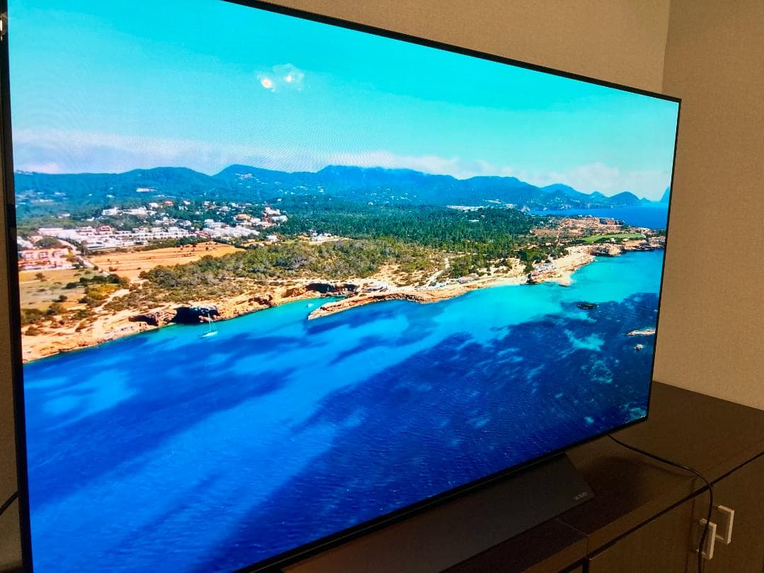 【l 様限定】55インチ LG 有機ELテレビ OLED55B8PJA値下げ済み