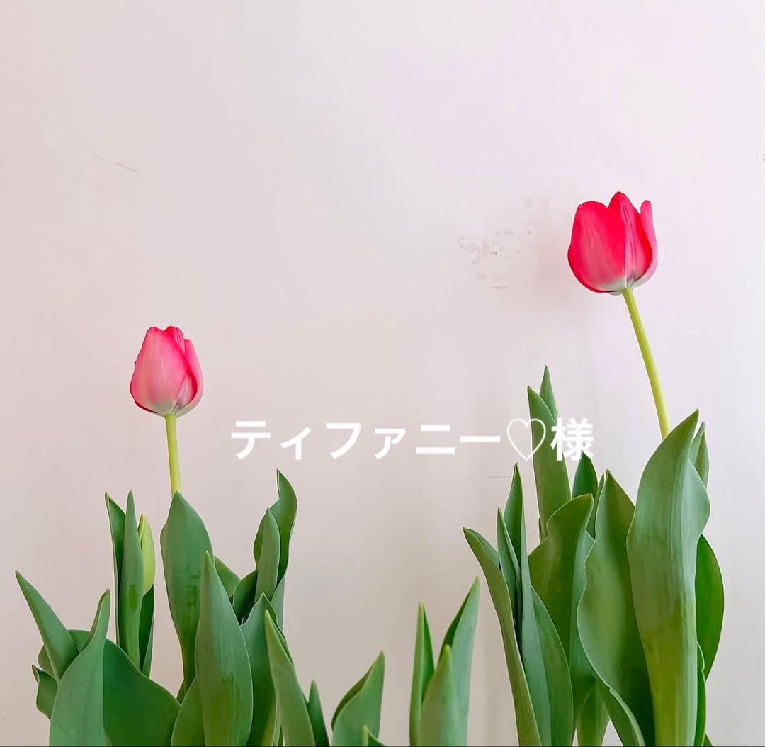 ティファニー♡品