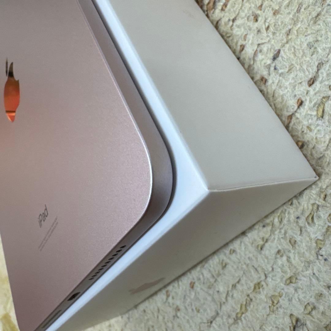 iPad mini 6 / 256GB ピンク　Wi-Fi ケース付き