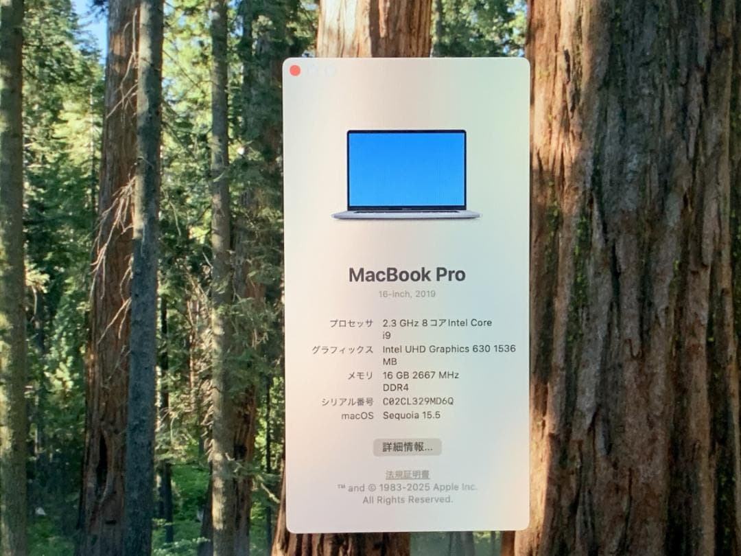 美品 MacBook Pro A2141 2019 i9/16GB/1TB