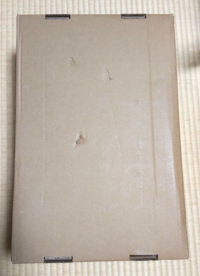 掃除機 コードレス 最軽量 65分連続稼働 充電スタンド サイクロン 除菌