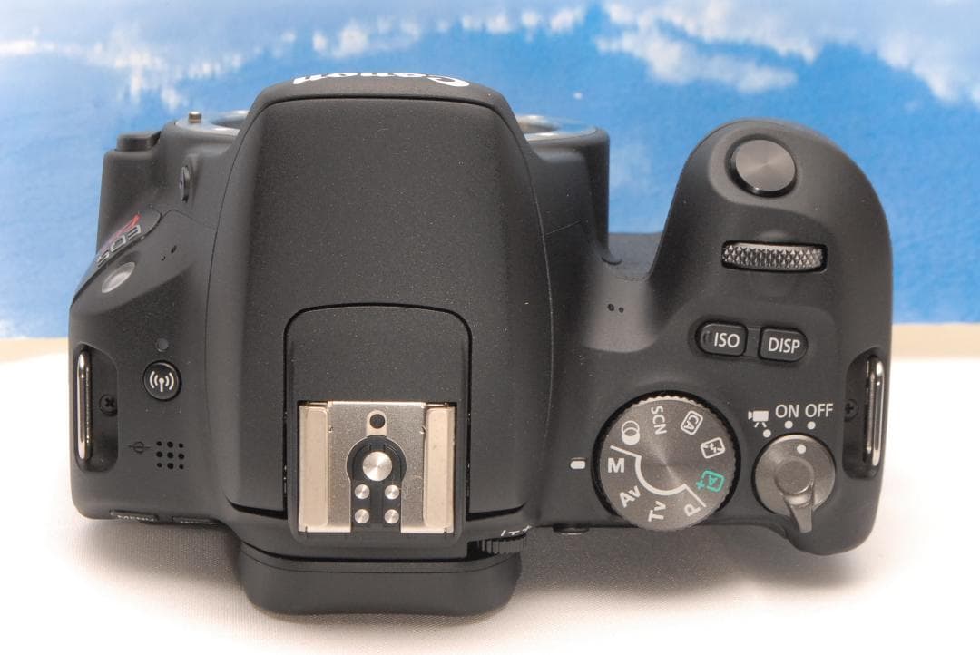 ✨高機能レンズ✨キヤノン EOS Kiss X9 ダブル 美品セットスマホ転送