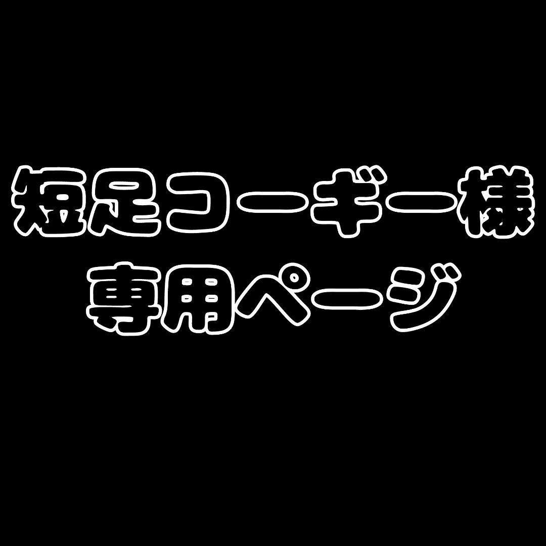 【ウィッグオーダー】短足コーギーページ(2月11日使用)
