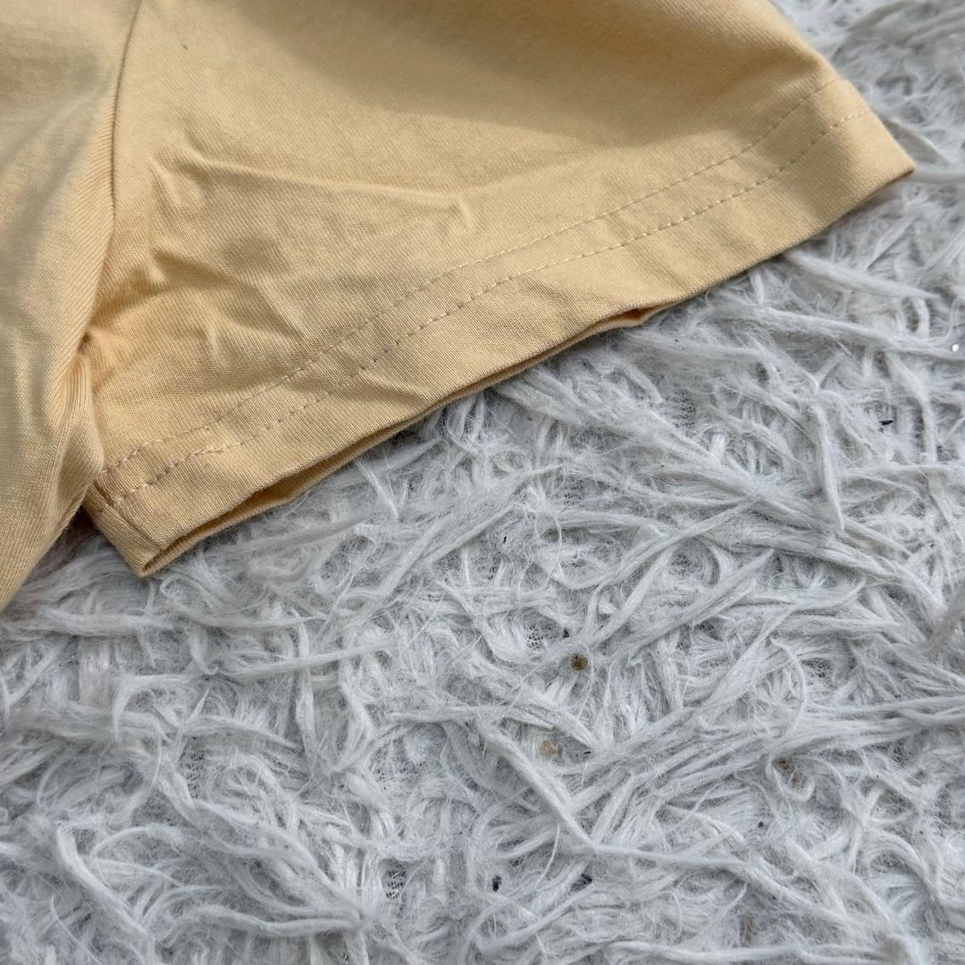 16572✨クリスチャンディオール ガリアーノ期 Tシャツ 刺繍 オブリーク 馬