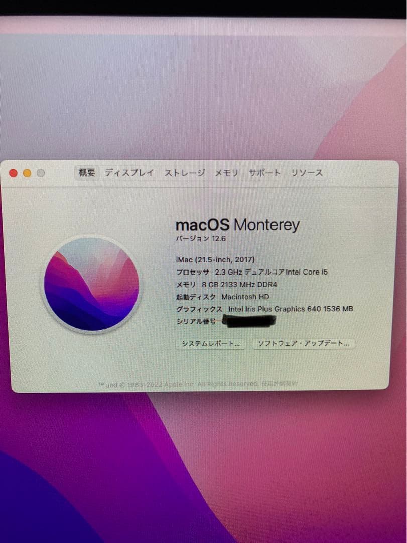 最終値下 げオマケ付きApple iMac (21.5-inch, 2017)