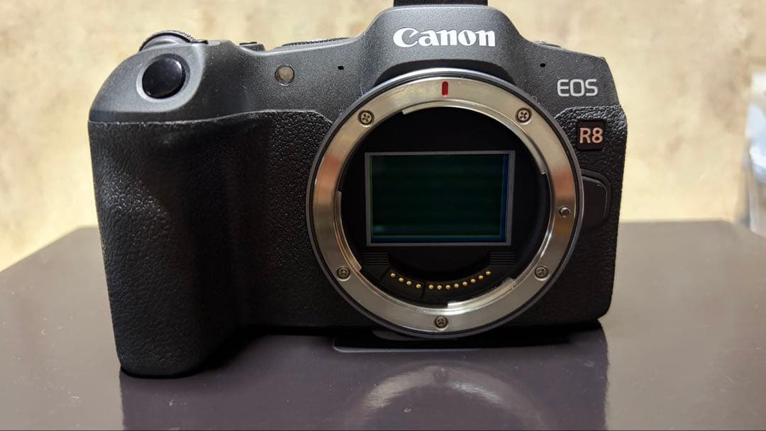 キヤノン Canon EOS R8 ミラーレス一眼カメラ