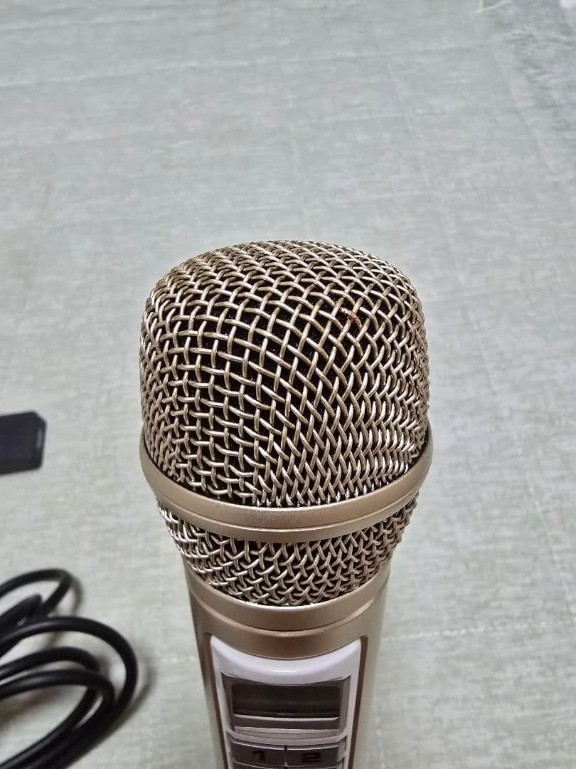 オンステージカラオケ PK-110GT(N)ゴールド※ペアマイク&追加チップ付き