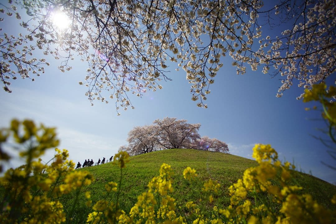 【タムさま専用】TAMRON SP 17mm f/3.5 レンズ EOS EF