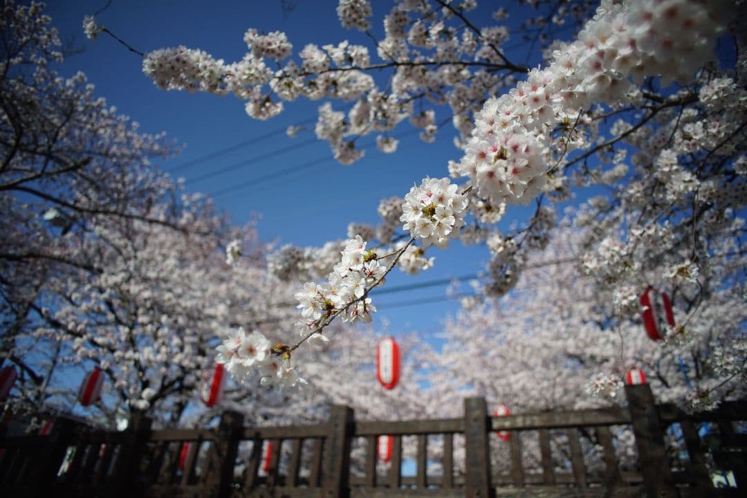 【タムさま専用】TAMRON SP 17mm f/3.5 レンズ EOS EF