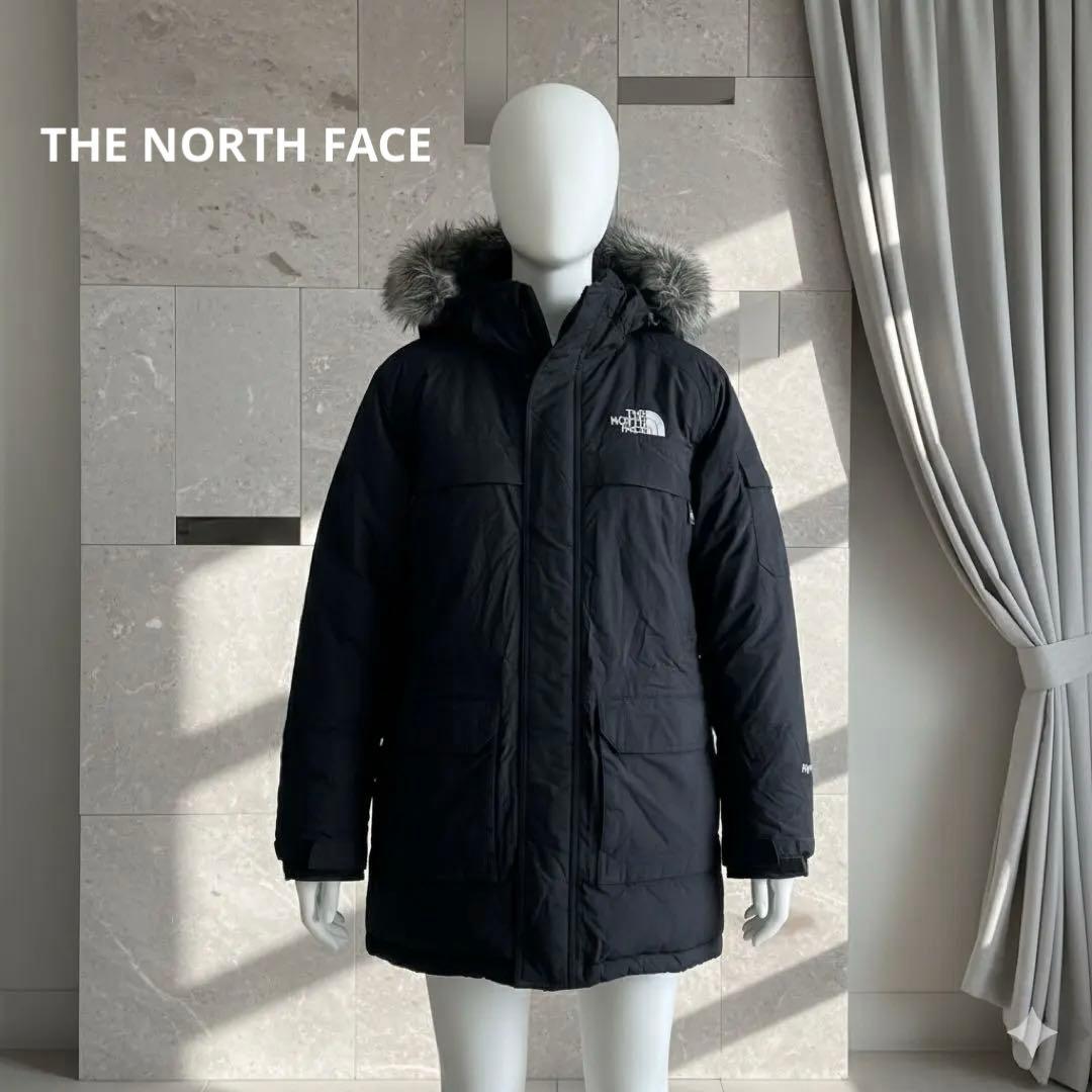 THE NORTH FACE HyVent ダウンジャケットファー 総柄裏地 L