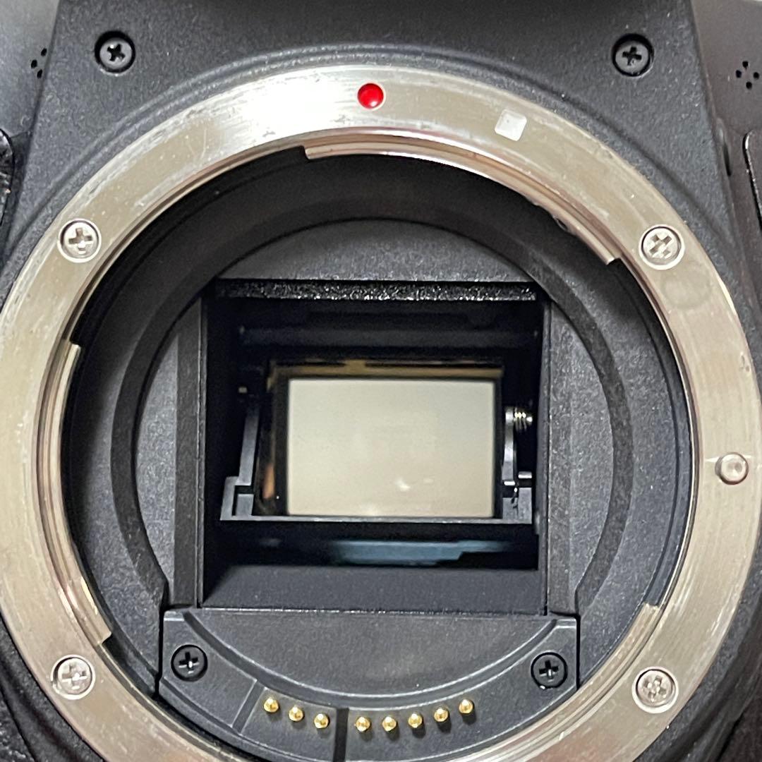 Canon EOS 8000D ☆付属品多数☆ キャノン 一眼レフ カメラ