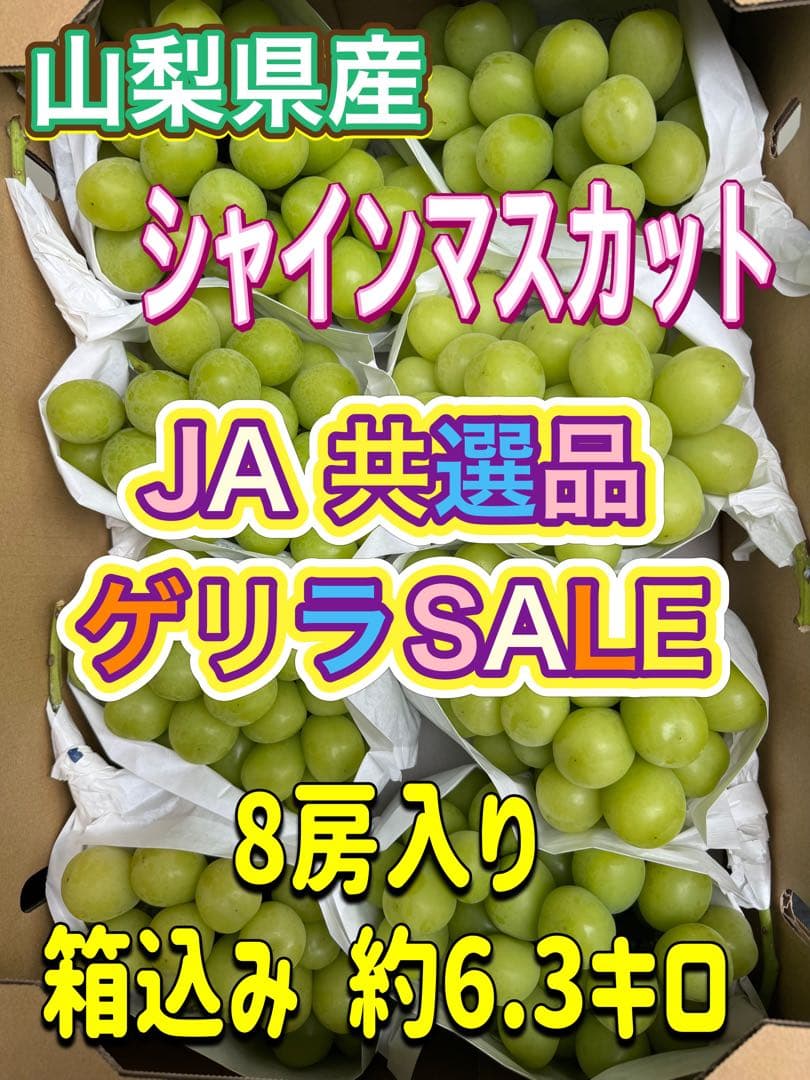 山梨県産JA共選品シャインマスカット⭐️8房入り箱込み約6.3キロ