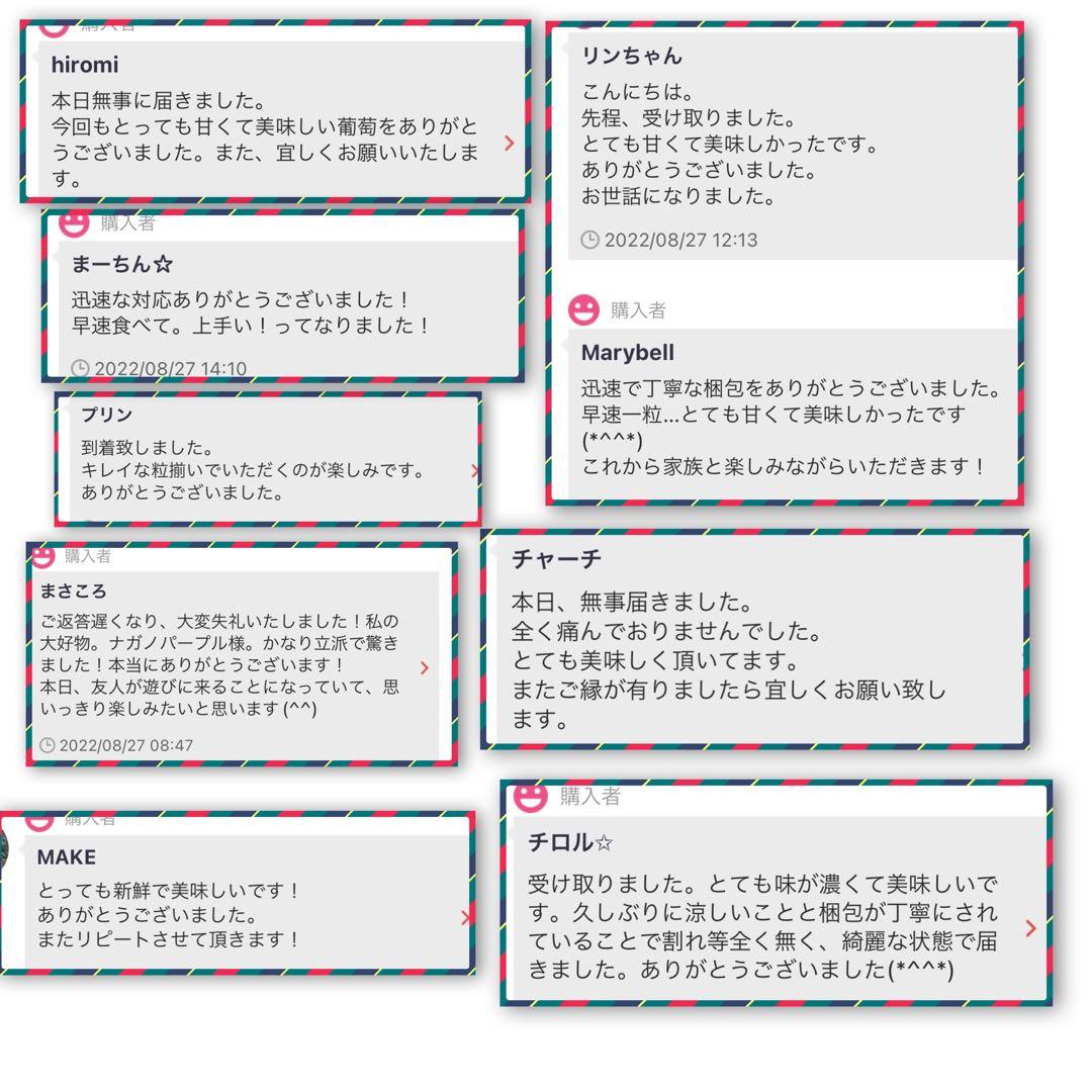 シャインマスカット　4kg /クイーンルージュ、2キロも出品中